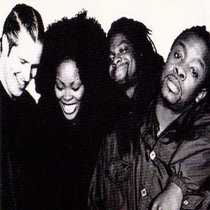 D&Influence