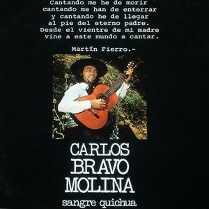 CarlosBravoMolina